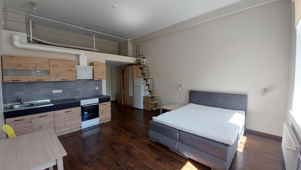 Loft Styled Near Noblessner Apartment *